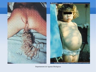 Departamento de Agentes Biológicos
 
