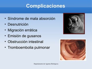 Complicaciones

• Síndrome de mala absorción
• Desnutrición
• Migración errática
• Emisión de gusanos
• Obstrucción intestinal
• Tromboembolia pulmonar



                Departamento de Agentes Biológicos
 