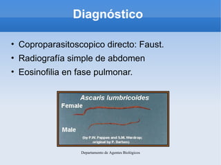 Diagnóstico

• Coproparasitoscopico directo: Faust.
• Radiografía simple de abdomen
• Eosinofilia en fase pulmonar.




                 Departamento de Agentes Biológicos
 