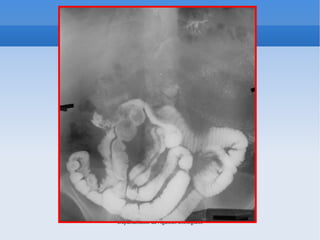 Departamento de Agentes Biológicos
 