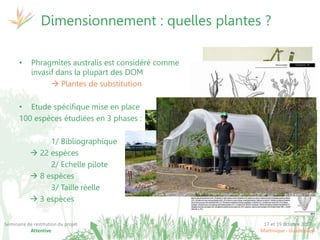 17 et 19 octobre 2017
Martinique - Guadeloupe
Séminaire de restitution du projet
Attentive
• Phragmites australis est considéré comme
invasif dans la plupart des DOM
 Plantes de substitution
• Etude spécifique mise en place
100 espèces étudiées en 3 phases :
1/ Bibliographique
 22 espèces
2/ Echelle pilote
 8 espèces
3/ Taille réelle
 3 espèces
Dimensionnement : quelles plantes ?
 