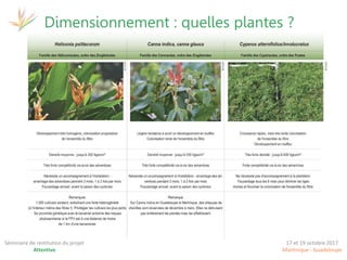 17 et 19 octobre 2017
Martinique - Guadeloupe
Séminaire de restitution du projet
Attentive
Dimensionnement : quelles plantes ?
 