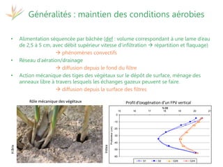 17 et 19 octobre 2017
Martinique - Guadeloupe
Séminaire de restitution du projet
Attentive
Généralités : maintien des conditions aérobies
• Alimentation séquencée par bâchée (def : volume correspondant à une lame d’eau
de 2,5 à 5 cm, avec débit supérieur vitesse d’infiltration  répartition et flaquage)
 phénomènes convectifs
• Réseau d’aération/drainage
 diffusion depuis le fond du filtre
• Action mécanique des tiges des végétaux sur le dépôt de surface, ménage des
anneaux libre à travers lesquels les échanges gazeux peuvent se faire.
 diffusion depuis la surface des filtres
-60
-50
-40
-30
-20
-10
0
15 16 17 18 19 20 21
% O2
Profondeur(cm)
S1 S2 C2/6 C2/4
Rôle mécanique des végétaux Profil d’oxygénation d’un FPV vertical
H.Brix
Irstea
 