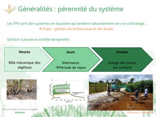 17 et 19 octobre 2017
Martinique - Guadeloupe
Séminaire de restitution du projet
Attentive
Généralités : pérennité du système
Les FPV sont des systèmes en équilibre qui tendent naturellement vers un colmatage…
 Enjeu : gestion de la biomasse et des boues
Gestion à plusieurs échelle temporelle :
Heures
Rôle mécanique des
végétaux
Jours
Alternance
Période de repos
Années
Curage des boues
(en surface)
EtiageGuyane
 