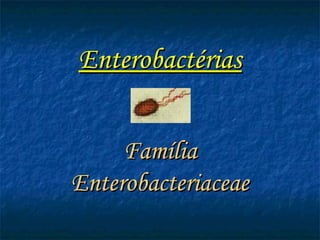 EnterobactériasEnterobactérias
FamíliaFamília
EnterobacteriaceaeEnterobacteriaceae
 