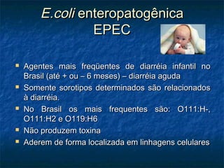 E.coliE.coli enteropatogênicaenteropatogênica
EPECEPEC
 Agentes mais freqüentes de diarréia infantil noAgentes mais freqüentes de diarréia infantil no
Brasil (até + ou – 6 meses) – diarréia agudaBrasil (até + ou – 6 meses) – diarréia aguda
 Somente sorotipos determinados são relacionadosSomente sorotipos determinados são relacionados
à diarréia.à diarréia.
 No Brasil os mais frequentes são: O111:H-,No Brasil os mais frequentes são: O111:H-,
O111:H2 e O119:H6O111:H2 e O119:H6
 Não produzem toxinaNão produzem toxina
 Aderem de forma localizada em linhagens celularesAderem de forma localizada em linhagens celulares
 