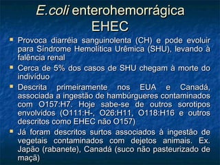 E.coliE.coli enterohemorrágicaenterohemorrágica
EHECEHEC
 Provoca diarréia sanguinolenta (CH) e pode evoluirProvoca diarréia sanguinolenta (CH) e pode evoluir
para Síndrome Hemolítica Urêmica (SHU), levando àpara Síndrome Hemolítica Urêmica (SHU), levando à
falência renalfalência renal
 Cerca de 5% dos casos de SHU chegam à morte doCerca de 5% dos casos de SHU chegam à morte do
indivíduoindivíduo
 Descrita primeiramente nos EUA e Canadá,Descrita primeiramente nos EUA e Canadá,
associada a ingestão de hambúrgueres contaminadosassociada a ingestão de hambúrgueres contaminados
com O157:H7. Hoje sabe-se de outros sorotiposcom O157:H7. Hoje sabe-se de outros sorotipos
envolvidos (O111:H-, O26:H11, O118:H16 e outrosenvolvidos (O111:H-, O26:H11, O118:H16 e outros
descritos como EHEC não O157)descritos como EHEC não O157)
 Já foram descritos surtos associados à ingestão deJá foram descritos surtos associados à ingestão de
vegetais contaminados com dejetos animais. Ex.vegetais contaminados com dejetos animais. Ex.
Japão (rabanete), Canadá (suco não pasteurizado deJapão (rabanete), Canadá (suco não pasteurizado de
maçã)maçã)
 