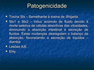 PatogenicidadePatogenicidade
 Toxina Stx – Semelhante à toxina deToxina Stx – Semelhante à toxina de ShigellaShigella..
 Stx1 e Stx2 – induz acúmulo de fluido devido àStx1 e Stx2 – induz acúmulo de fluido devido à
morte seletiva de células absortivas das vilosidades,morte seletiva de células absortivas das vilosidades,
diminuindo a absorção intestinal e secreção dediminuindo a absorção intestinal e secreção de
fluídos. Estas mudanças desregulam o balanço dafluídos. Estas mudanças desregulam o balanço da
absorção, favorecendo a secreção de líquidos –absorção, favorecendo a secreção de líquidos –
diarréiadiarréia
 Lesões A/ELesões A/E
 EhlyEhly
 