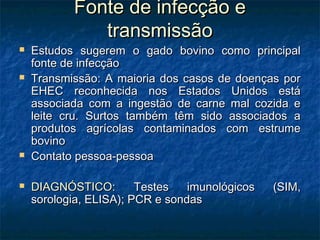 Fonte de infecção eFonte de infecção e
transmissãotransmissão
 Estudos sugerem o gado bovino como principalEstudos sugerem o gado bovino como principal
fonte de infecçãofonte de infecção
 Transmissão: A maioria dos casos de doenças porTransmissão: A maioria dos casos de doenças por
EHEC reconhecida nos Estados Unidos estáEHEC reconhecida nos Estados Unidos está
associada com a ingestão de carne mal cozida eassociada com a ingestão de carne mal cozida e
leite cru. Surtos também têm sido associados aleite cru. Surtos também têm sido associados a
produtos agrícolas contaminados com estrumeprodutos agrícolas contaminados com estrume
bovinobovino
 Contato pessoa-pessoaContato pessoa-pessoa
 DIAGNÓSTICO:DIAGNÓSTICO: Testes imunológicos (SIM,Testes imunológicos (SIM,
sorologia, ELISA); PCR e sondassorologia, ELISA); PCR e sondas
 