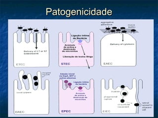 PatogenicidadePatogenicidade
 