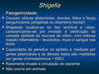 ShigellaShigella
Patogenicidade:Patogenicidade:
 Causam cólicas abdominais, diarréia, febre e fezesCausam cólicas abdominais, diarréia, febre e fezes
sanguinolenta (shigelose ou disenteria bacilar)sanguinolenta (shigelose ou disenteria bacilar)
 Shigelose localiza-se no íleo terminal e cólon,Shigelose localiza-se no íleo terminal e cólon,
caracterizando-se por invasão e destruição dacaracterizando-se por invasão e destruição da
camada epitelial da mucosa do cólon, com intensacamada epitelial da mucosa do cólon, com intensa
reação inflamatória – leucócitos, muco e sangue nasreação inflamatória – leucócitos, muco e sangue nas
fezesfezes
 Capacidade de penetrar no epitélio é mediada porCapacidade de penetrar no epitélio é mediada por
genes plasmidiais e as demais fases são mediadasgenes plasmidiais e as demais fases são mediadas
por genes cromossômicos = EIECpor genes cromossômicos = EIEC
 Raramente invade a circulação do pacienteRaramente invade a circulação do paciente
 Não ocorre em animaisNão ocorre em animais
 