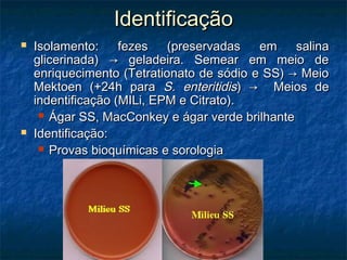 IdentificaçãoIdentificação
 Isolamento:Isolamento: fezes (preservadas em salinafezes (preservadas em salina
glicerinada) → geladeira. Semear em meio deglicerinada) → geladeira. Semear em meio de
enriquecimento (Tetrationato de sódio e SS) → Meioenriquecimento (Tetrationato de sódio e SS) → Meio
Mektoen (+24h paraMektoen (+24h para S. enteritidisS. enteritidis) → Meios de) → Meios de
indentificação (MILi, EPM e Citrato).indentificação (MILi, EPM e Citrato).
 Ágar SS, MacConkey e ágar verde brilhanteÁgar SS, MacConkey e ágar verde brilhante
 Identificação:Identificação:
 Provas bioquímicas e sorologiaProvas bioquímicas e sorologia
 