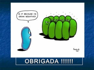 OBRIGADA !!!!!!OBRIGADA !!!!!!
 