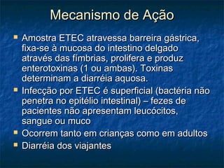 Mecanismo de AçãoMecanismo de Ação
 Amostra ETEC atravessa barreira gástrica,Amostra ETEC atravessa barreira gástrica,
fixa-se à mucosa do intestino delgadofixa-se à mucosa do intestino delgado
através das fímbrias, prolifera e produzatravés das fímbrias, prolifera e produz
enterotoxinas (1 ou ambas). Toxinasenterotoxinas (1 ou ambas). Toxinas
determinam a diarréia aquosa.determinam a diarréia aquosa.
 Infecção por ETEC é superficial (bactéria nãoInfecção por ETEC é superficial (bactéria não
penetra no epitélio intestinal) – fezes depenetra no epitélio intestinal) – fezes de
pacientes não apresentam leucócitos,pacientes não apresentam leucócitos,
sangue ou mucosangue ou muco
 Ocorrem tanto em crianças como em adultosOcorrem tanto em crianças como em adultos
 Diarréia dos viajantesDiarréia dos viajantes
 
