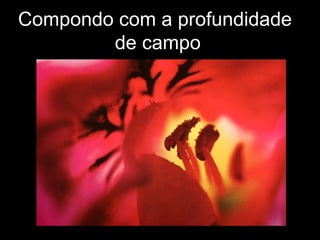 Compondo com a profundidade
de campo
 