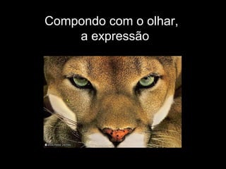 Compondo com o olhar,
a expressão
 