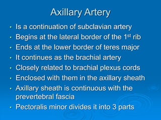 Axillary Artery
• Is a continuation of subclavian artery
• Begins at the lateral border of the 1st rib
• Ends at the lower border of teres major
• It continues as the brachial artery
• Closely related to brachial plexus cords
• Enclosed with them in the axillary sheath
• Axillary sheath is continuous with the
prevertebral fascia
• Pectoralis minor divides it into 3 parts
 