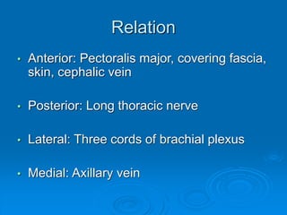 Relation
• Anterior: Pectoralis major, covering fascia,
skin, cephalic vein
• Posterior: Long thoracic nerve
• Lateral: Three cords of brachial plexus
• Medial: Axillary vein
 