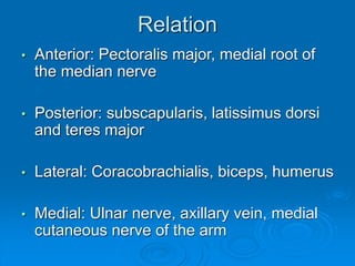 Relation
• Anterior: Pectoralis major, medial root of
the median nerve
• Posterior: subscapularis, latissimus dorsi
and teres major
• Lateral: Coracobrachialis, biceps, humerus
• Medial: Ulnar nerve, axillary vein, medial
cutaneous nerve of the arm
 