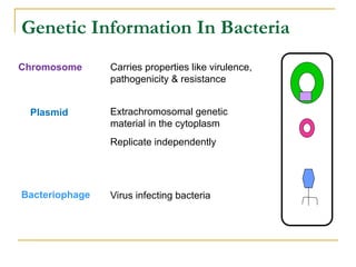 Comprehensive Overview of Bacterial Genetics and Gene Transfer ...