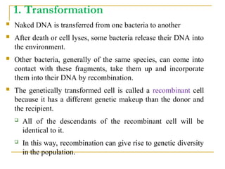 Comprehensive Overview of Bacterial Genetics and Gene Transfer ...