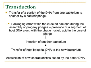 Comprehensive Overview of Bacterial Genetics and Gene Transfer ...