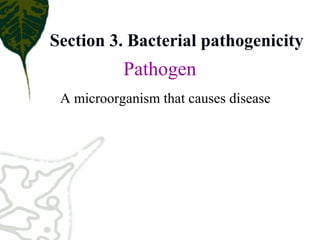 A microorganism that causes disease 
Pathogen
Section 3. Bacterial pathogenicity
 