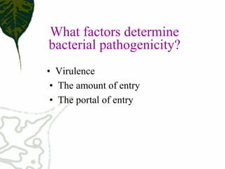 •  Virulence 
•  The amount of entry 
•  The portal of entry 
What factors determine 
bacterial pathogenicity?
 