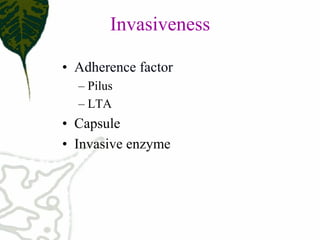 Invasiveness 
•  Adherence factor 
– Pilus 
– LTA 
•  Capsule  
•  Invasive enzyme
 