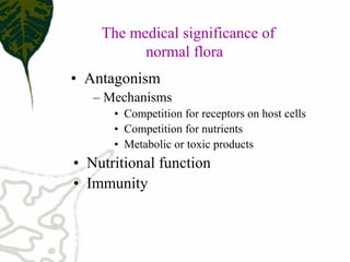 – Mechanisms 
•  Competition for receptors on host cells 
•  Competition for nutrients 
•  Metabolic or toxic products 
•  Nutritional function 
•  Immunity 
 The medical significance of 
normal flora
•  Antagonism 
 