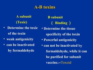 B subunit
（ Binding ）
• Determine the tissue
specificity of the toxin
• Powerful antigenicity
• can not be inactivated by
formaldehyde, while it can
be purified for subunit
vaccine.--Toxoid
A subunit
(Toxic)
• Determine the toxic
of the toxin
• weak antigenicity
• can be inactivated
by formaldehyde
A-B toxinsA-B toxins
 