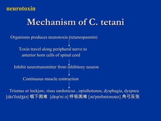 Mechanism of C. tetaniMechanism of C. tetani
Organisms produces neurotoxin (tetanospasmin)Organisms produces neurotoxin (tetanospasmin)
Toxin travel along peripheral nerve toToxin travel along peripheral nerve to
anterior horn cells of spinal cordanterior horn cells of spinal cord
Inhibit neurotransmitter from inhibitory neuronInhibit neurotransmitter from inhibitory neuron
Continuous muscle contractionContinuous muscle contraction
TrismusTrismus or lockjaw, risus sardonicus , opisthotonos, dysphagia, dyspneaor lockjaw, risus sardonicus , opisthotonos, dysphagia, dyspnea
[d s'fe d ə]ɪ ɪ ʒɪ[d s'fe d ə]ɪ ɪ ʒɪ 咽下困难咽下困难 [d sp'ni ə]ɪ ː[d sp'ni ə]ɪ ː 呼吸困难呼吸困难 [ə 'p sθə tənə z]ʊ ɪ ʊ ʊ[ə 'p sθə tənə z]ʊ ɪ ʊ ʊ 角弓反张角弓反张
neurotoxin
 