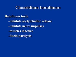 Clostridium botulinumClostridium botulinum
Botulinum toxinBotulinum toxin
- inhibits acetylcholine release- inhibits acetylcholine release
- inhibits nerve impulses- inhibits nerve impulses
-muscles inactive-muscles inactive
-flacid paralysis-flacid paralysis
 