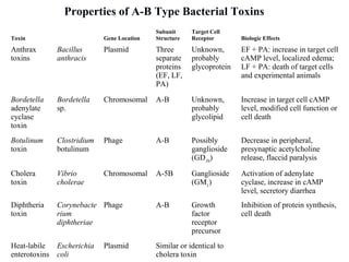Toxin Gene Location
Subunit
Structure
Target Cell
Receptor Biologic Effects
Anthrax
toxins
Bacillus
anthracis
Plasmid Three
separate
proteins
(EF, LF,
PA)
Unknown,
probably
glycoprotein
EF + PA: increase in target cell
cAMP level, localized edema;
LF + PA: death of target cells
and experimental animals
Bordetella
adenylate
cyclase
toxin
Bordetella
sp.
Chromosomal A-B Unknown,
probably
glycolipid
Increase in target cell cAMP
level, modified cell function or
cell death
Botulinum
toxin
Clostridium
botulinum
Phage A-B Possibly
ganglioside
(GD1b
)
Decrease in peripheral,
presynaptic acetylcholine
release, flaccid paralysis
Cholera
toxin
Vibrio
cholerae
Chromosomal A-5B Ganglioside
(GM1
)
Activation of adenylate
cyclase, increase in cAMP
level, secretory diarrhea
Diphtheria
toxin
Corynebacte
rium
diphtheriae
Phage A-B Growth
factor
receptor
precursor
Inhibition of protein synthesis,
cell death
Heat-labile
enterotoxins
Escherichia
coli
Plasmid Similar or identical to
cholera toxin
Properties of A-B Type Bacterial Toxins
 