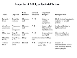 Pertussis
toxin
Bordetella
pertussis
Chromoso
mal
A-5B Unknown,
probably
glycoprotein
Block of signal transduction
mediated by target G
proteins
Pseudomon
as exotoxin
A
Pseudomon
as
aeruginosa
Chromoso
mal
A-B Unknown, but
different from
diphtheria toxin
Similar or identical to
diphtheria toxin
Shiga toxin Shigella
dysenteriae
Chromoso
mal
A-5B Glycoprotein or
glycolipid
Inhibition of protein
synthesis, cell death
Shigalike
toxins
Shigella sp.,
E. coli
Phage Similar or identical to Shiga
toxin
Tetanus
toxin
Clostridium
tetani
Plasmid A-B Ganglioside (GT1
)
and/or GD1b
Decrease in
neurotransmitter release
from inhibitory neurons,
spastic paralysis
Toxin Organism
Gene
Location
Subunit
Structure
Target Cell
Receptor Biologic Effects
Properties of A-B Type Bacterial Toxins
 