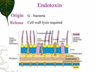 Endotoxin
Origin G - bacteria
Release Cell wall lysis required
 