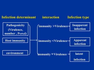 InfectionInfection determinantdeterminant interactioninteraction Infection typeInfection type
immunity >Virulence
immunity <Virulence
immunity ≈Virulence
Inapparent
infection
Apparent
infection
latent
infection
environment
Host immunity
Pathogenicity
(Virulence,
number , Portal)
 
