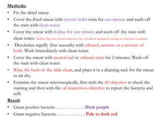 4- Bacterial Stainكمنكمنكمنطكمطكنمing.pptx