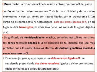 Mujer recibe un cromosoma X de la madre y otro cromosoma X del padre
Varón recibe del padre cromosoma Y de la masculinidad y de la madre
cromosoma X con sus genes con rasgos ligados con el cromosoma X (un
varón no es homocigota ni heterocigota para los alelos ligados al X, en su
lugar se dice hemicigoto, es decir solo tiene una copia de los genes ligados
al Y)
El significado de hemicigocidad en machos, como los masculinos humanos:
los genes recesivos ligados al X se expresan de tal manera que sea más
probable que a los masculinos los afecten desórdenes genéticos asociados
con el cromosoma X.
 En una mujer para que se exprese un alelo recesivo ligado a X, se
requiere la presencia de dos alelos recesivos ligados a dicho cromosoma
(debe ser heredado de los dos progenitores).
 