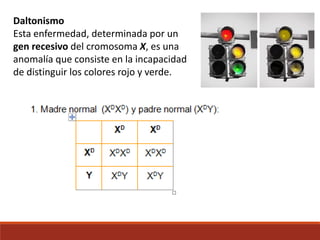 Daltonismo
Esta enfermedad, determinada por un
gen recesivo del cromosoma X, es una
anomalía que consiste en la incapacidad
de distinguir los colores rojo y verde.
 