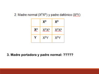 3. Madre portadora y padre normal: ?????
 