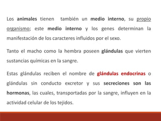 Los animales tienen también un medio interno, su propio
organismo; este medio interno y los genes determinan la
manifestación de los caracteres influidos por el sexo.
Tanto el macho como la hembra poseen glándulas que vierten
sustancias químicas en la sangre.
Estas glándulas reciben el nombre de glándulas endocrinas o
glándulas sin conducto excretor y sus secreciones son las
hormonas, las cuales, transportadas por la sangre, influyen en la
actividad celular de los tejidos.
 