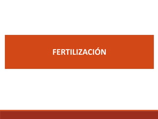 FERTILIZACIÓN
 