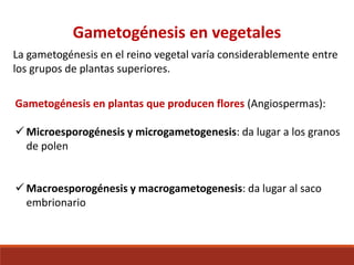 Gametogénesis en vegetales
La gametogénesis en el reino vegetal varía considerablemente entre
los grupos de plantas superiores.
Gametogénesis en plantas que producen flores (Angiospermas):
 Microesporogénesis y microgametogenesis: da lugar a los granos
de polen
 Macroesporogénesis y macrogametogenesis: da lugar al saco
embrionario
 