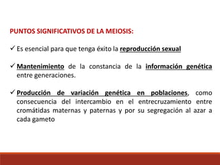 PUNTOS SIGNIFICATIVOS DE LA MEIOSIS:
 Es esencial para que tenga éxito la reproducción sexual
 Mantenimiento de la constancia de la información genética
entre generaciones.
 Producción de variación genética en poblaciones, como
consecuencia del intercambio en el entrecruzamiento entre
cromátidas maternas y paternas y por su segregación al azar a
cada gameto
 