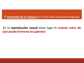 El momento de la meiosis en el ciclo vital varía entre especies
En la reproducción sexual tiene lugar la meiosis antes de
que pueda formarse los gametos
 