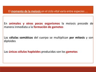 En animales y otros pocos organismos la meiosis precede de
manera inmediata a la formación de gametos
Las células somáticas del cuerpo se multiplican por mitosis y son
diploides
Las únicas células haploides producidas son los gametos
El momento de la meiosis en el ciclo vital varía entre especies ….
 