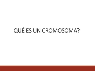 QUÉ ES UN CROMOSOMA?
 