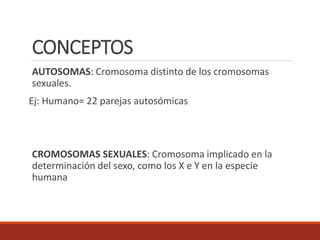 CONCEPTOS
AUTOSOMAS: Cromosoma distinto de los cromosomas
sexuales.
Ej: Humano= 22 parejas autosómicas
CROMOSOMAS SEXUALES: Cromosoma implicado en la
determinación del sexo, como los X e Y en la especie
humana
 