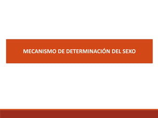 MECANISMO DE DETERMINACIÓN DEL SEXO
 